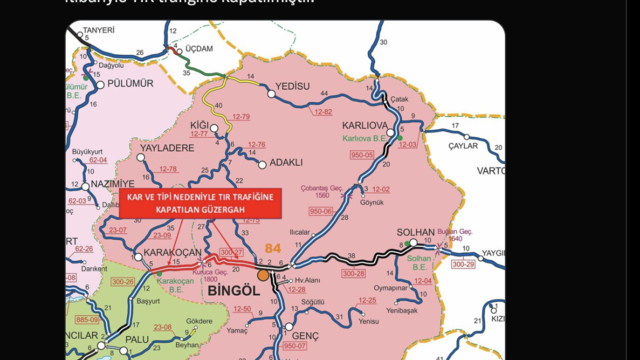 Bingöl'de kar yağışı; 100 köy yolu ulaşıma kapandı (4)