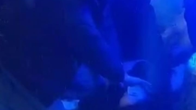 Kadınların bıçaklı kavgası kanlı bitti: 1 ölü, 1 yaralı