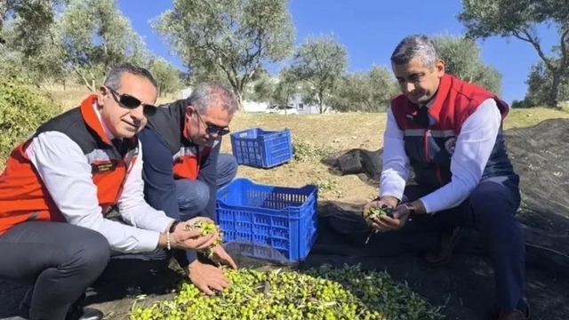 Aydın'da bir yılda 3 bini aşkın tarımsal denetim yapıldı
