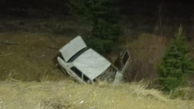 Domuza çarpan otomobil, şarampole yuvarlandı; 1 ölü