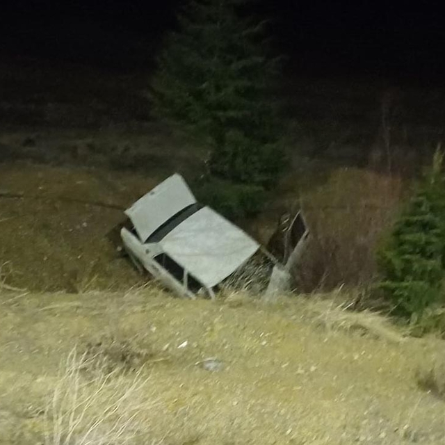 Domuza çarpan otomobil, şarampole yuvarlandı; 1 ölü