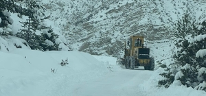 Artvin'de 6 ilçede 43 köy yolunda kar nedeniyle ulaşım sağlanamıyor