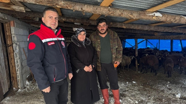 Bayburt'ta hayvancılığa yeni başlayan üreticilere destekler sürüyor