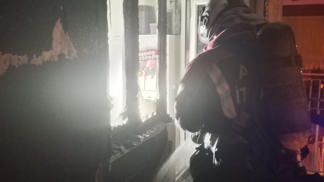 Aydın'da ev yangını panikletti