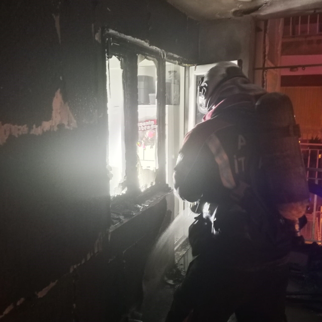 Aydın'da ev yangını panikletti