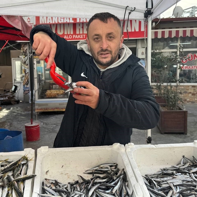 Zonguldak'ta tezgahlar istavritle şenlendi