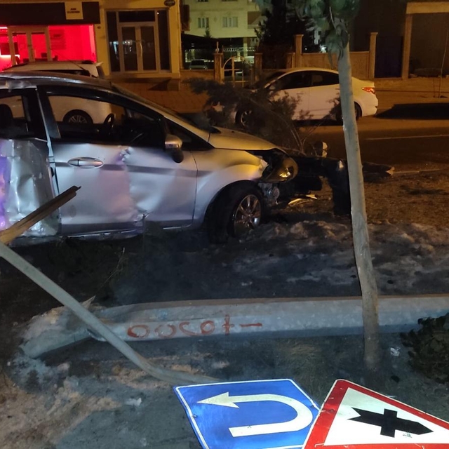 Mardin'de refüje çarpan otomobilin sürücüsü yaralandı