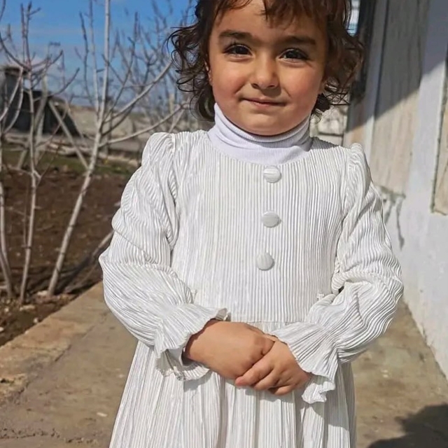 Sokak köpeklerinin saldırısına uğrayan Nazlı, ağır yaralandı