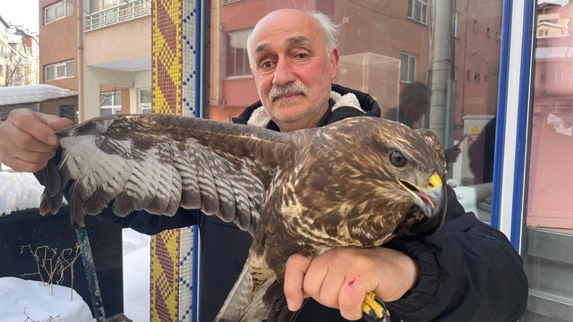 Yaralı boz şahine şefkat eli
Yaralı halde bulduğu boz şahini tedavi ettirip, yetkililere teslim etti