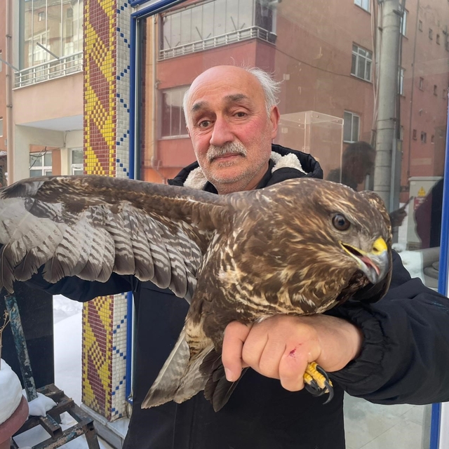 Yaralı boz şahine şefkat eli
Yaralı halde bulduğu boz şahini tedavi ettirip...