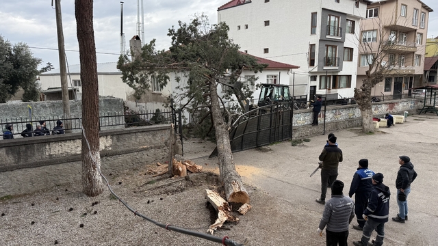 İznik'te okulların tatil olması faciayı önledi..Dev ağaç okul bahçesine devrildi
İznik'te büyük tehlike: tatil olmasaydı facia yaşanabilirdi