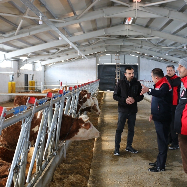 Erzincan'da hibe desteğiyle kurulan tesis üretime başladı