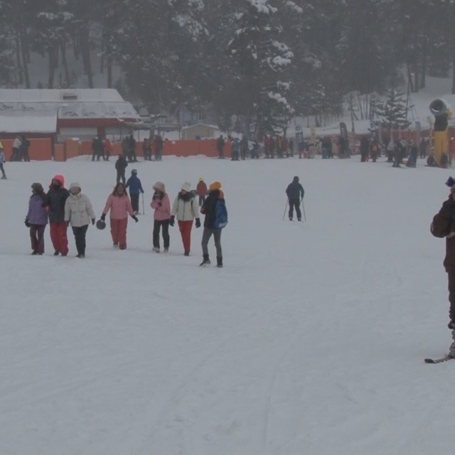 Sarıkamış'ta kar yağışı altında kayak ve snowboard keyfi