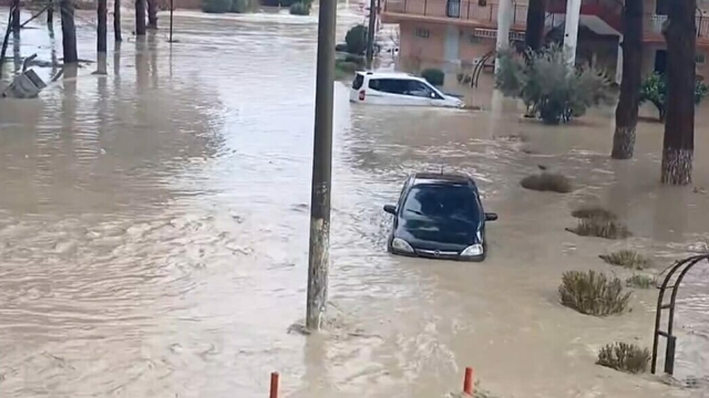 Aydın'da sağanak etkili oldu (2)