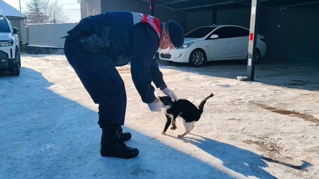 Yozgat'ta yaralı halde bulunan kedi tedaviye alındı