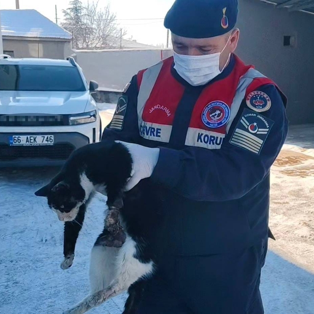 Bacağı kopmak üzere olan kedi HAYDİ ekiplerince kurtarıldı