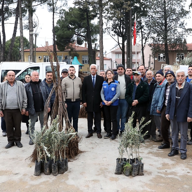 Ula'da üreticiye zeytin ve ceviz fidanı desteği