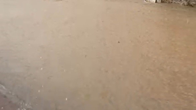 Bozcaada'da sokaklar göle döndü
Bozcaada'da sağanak yağışta sokaklar sular altında kaldı