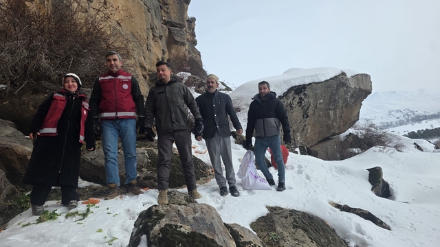 Muradiye'de yaban hayvanları için doğaya yem bırakıldı