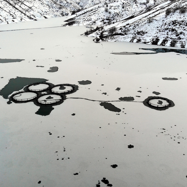 Erzincan'da baraj buzla kaplandı
