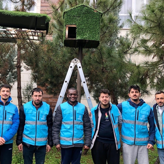 Yurt öğrencileri kuşlar için ev yaptılar