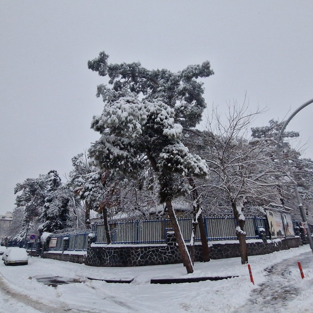 Diyarbakır'da kar yağışı; bazı uçak seferleri iptal edildi