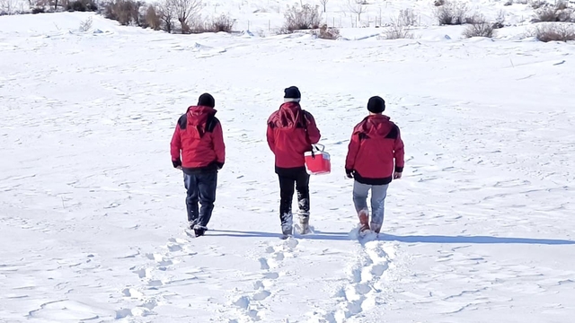 Beyaz esaretin içinde hayat kurtaran eller
Tunceli'de hayvan sağlığı için veterinerlerin karda zorlu mücadelesi