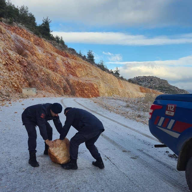 Harmankaya Tabiat Kanyonu'nun yolunu düşen kaya parçası jandarma tarafından...