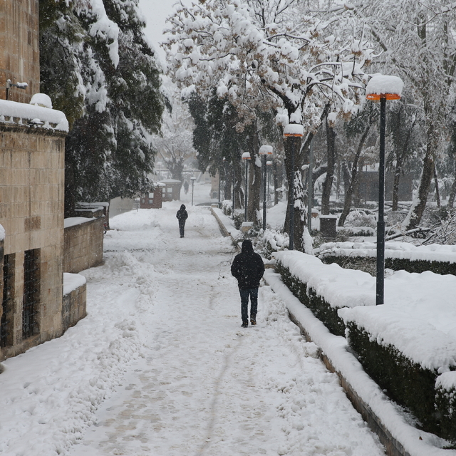 Şanlıurfa'daki tarihi Balıklıgöl karla beyaza büründü