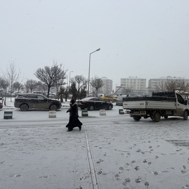 Iğdır'da kar yağışı yeniden başladı