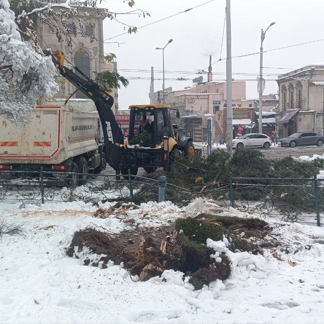Karın ağırlığına dayanamayan ağaçlar devrildi