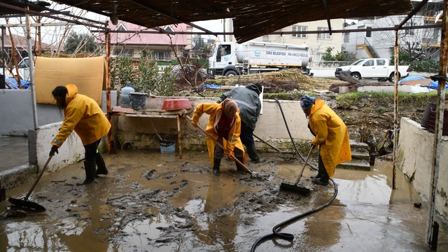Söke Belediyesi ekipleri selin yaralarını sarmak için sahada