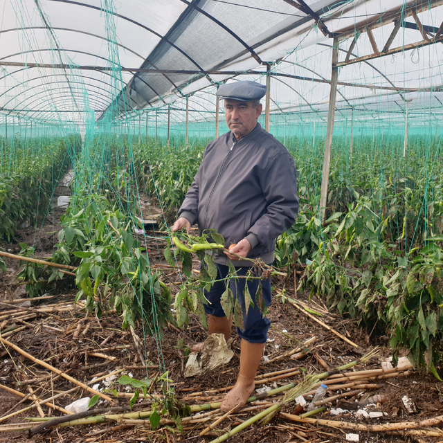Antalya'da tarım alanlarını su bastı; mahsur kalanlar, iş makinesi ve botla...