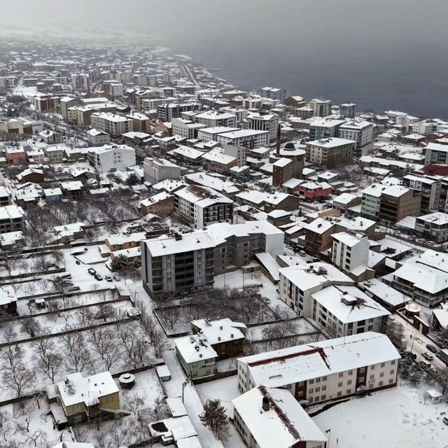 'Sakin şehir' Ahlat'ın kış manzarası kamerada
