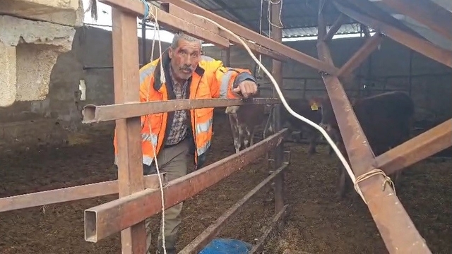 Gaziantep'te yoğun kar yağışı sonrası ahırın çatısı çöktü