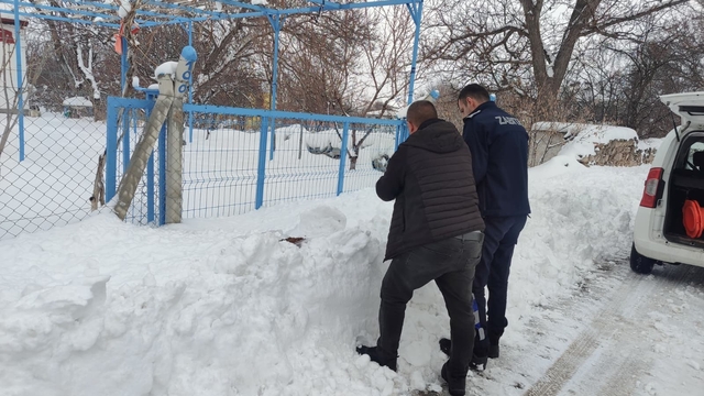 Bünyan'da sokak hayvanlarına mama desteği