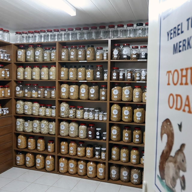 Muğla Büyükşehir 2026 yılında 3 milyon ata tohumu dağıtacak