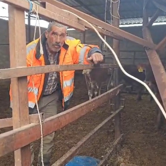 Gaziantep'te yoğun kar yağışı sonrası ahırın çatısı çöktü