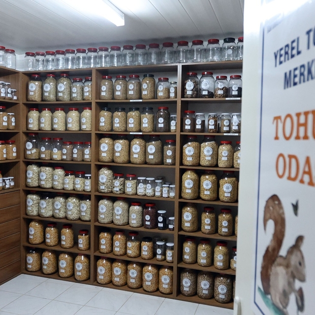 Muğla'da üretilen 22 milyon yerel tohum 81 ildeki üreticilere ulaştırıldı