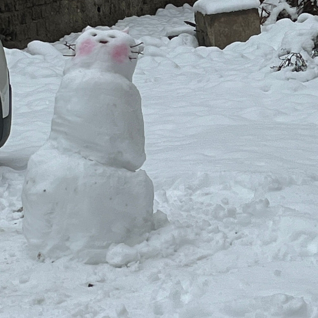 Batman'da kardan adamlar kentin simgesi oldu