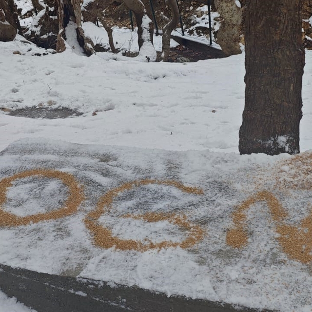 Batman'da yaban hayatı unutulmadı
