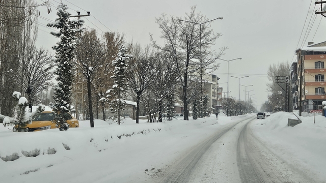 Ağrı ve Kars'ta kar ve tipi etkili oluyor