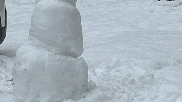 Batman'da kardan adamlar kentin simgesi oldu