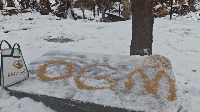 Batman'da yaban hayatı unutulmadı