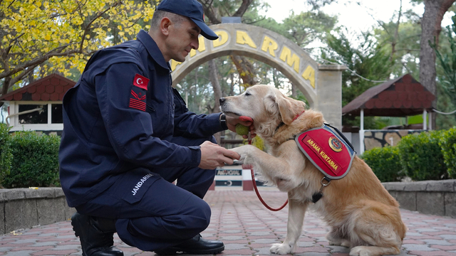 JAK köpeği 'Ocak', 8 yılda 48 can kurtardı