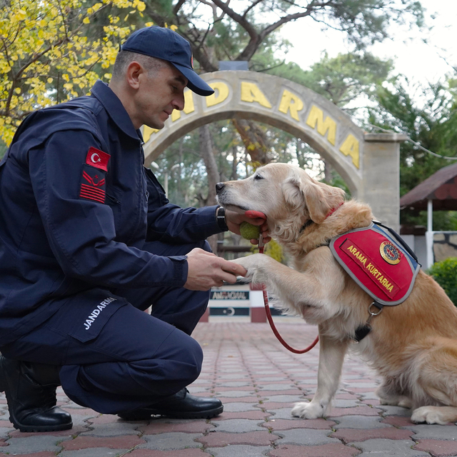 JAK köpeği 'Ocak', 8 yılda 48 can kurtardı