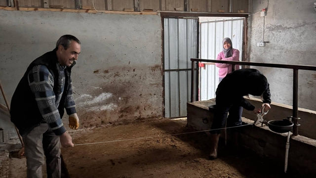 Bilecik'te büyükbaş hayvancılık işletmelerinde kapasite kontrolleri