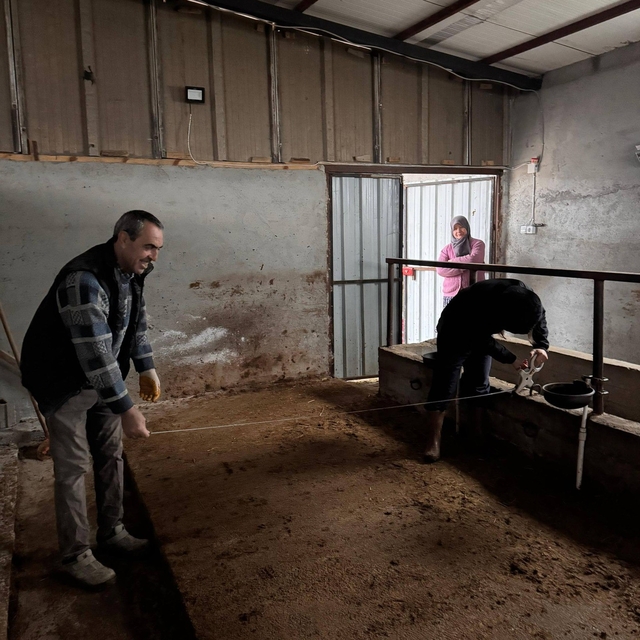 Bilecik'te büyükbaş hayvancılık işletmelerinde kapasite kontrolleri