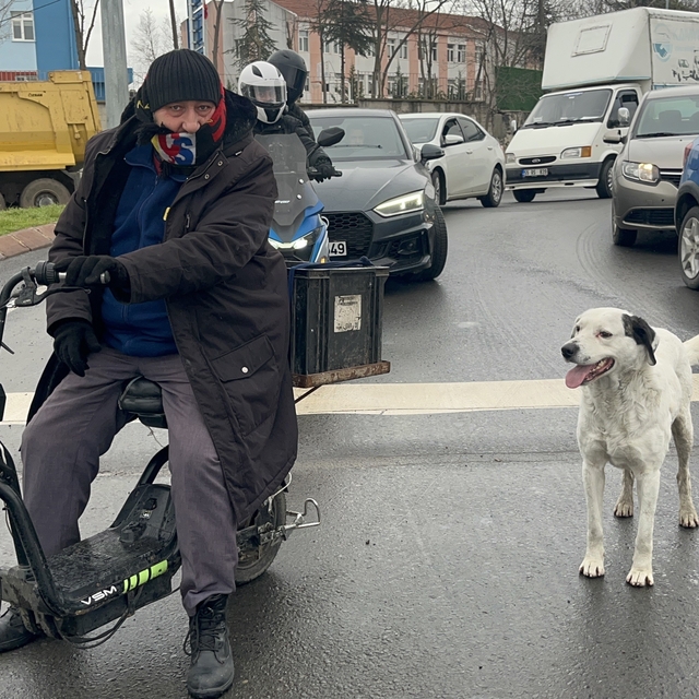 Çarşı pazar peşinden ayrılmıyor