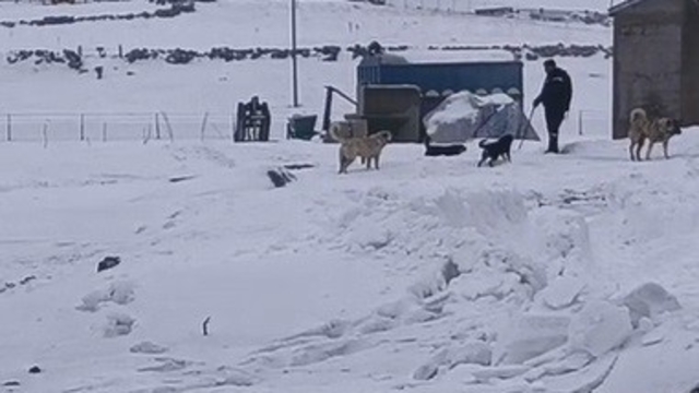 Kars'ın soğuğunda enerji mesaisi: Aras Edaş ekiplerinin soğukla imtihanı